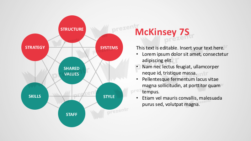 Literature review for mckinsey 7 s model elements