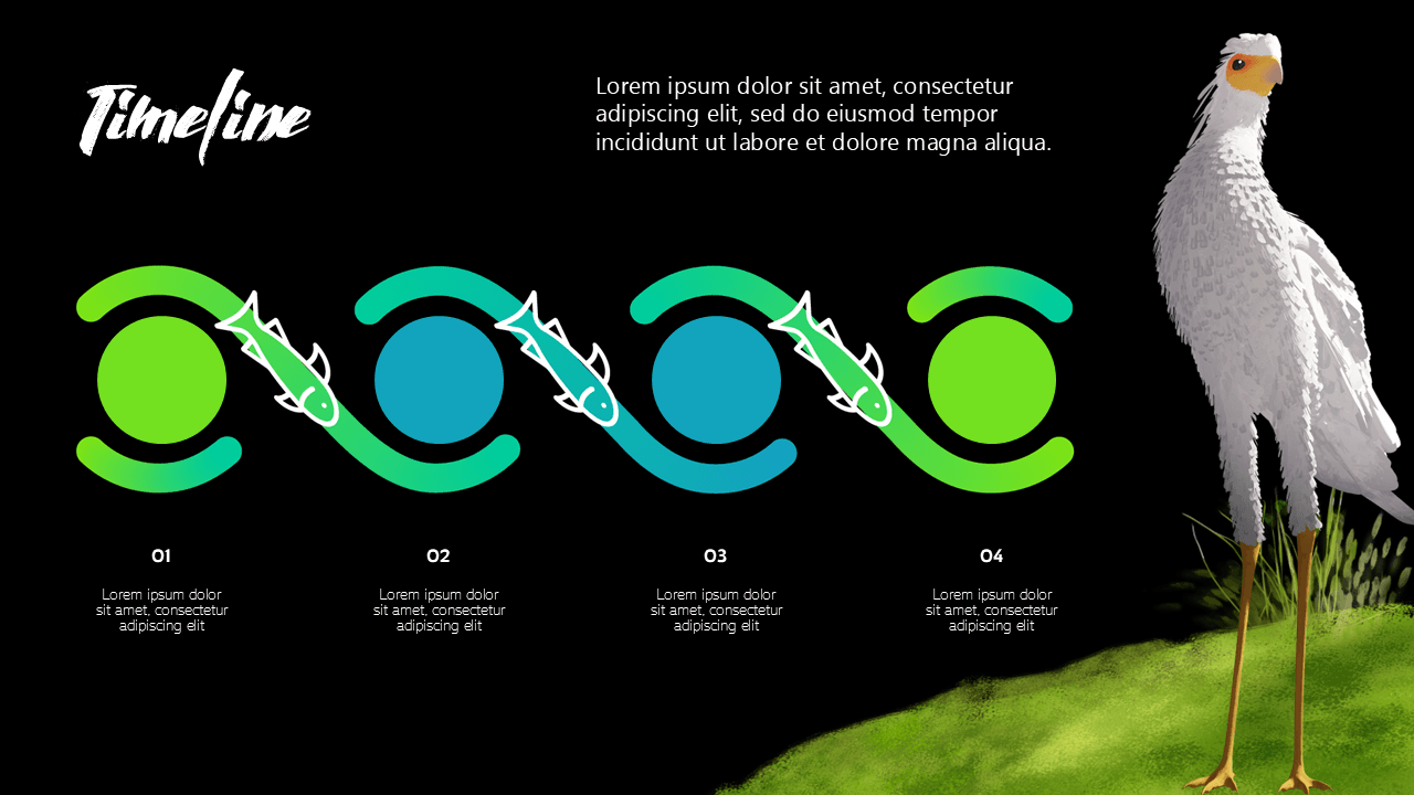 Flow PowerPoint template with 4-step timeline, green and teal circular icons, secretary bird illustration