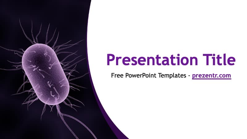 Bacteria PowerPoint Template cover slide featuring purple bacterium illustration on dark background with curved layout design