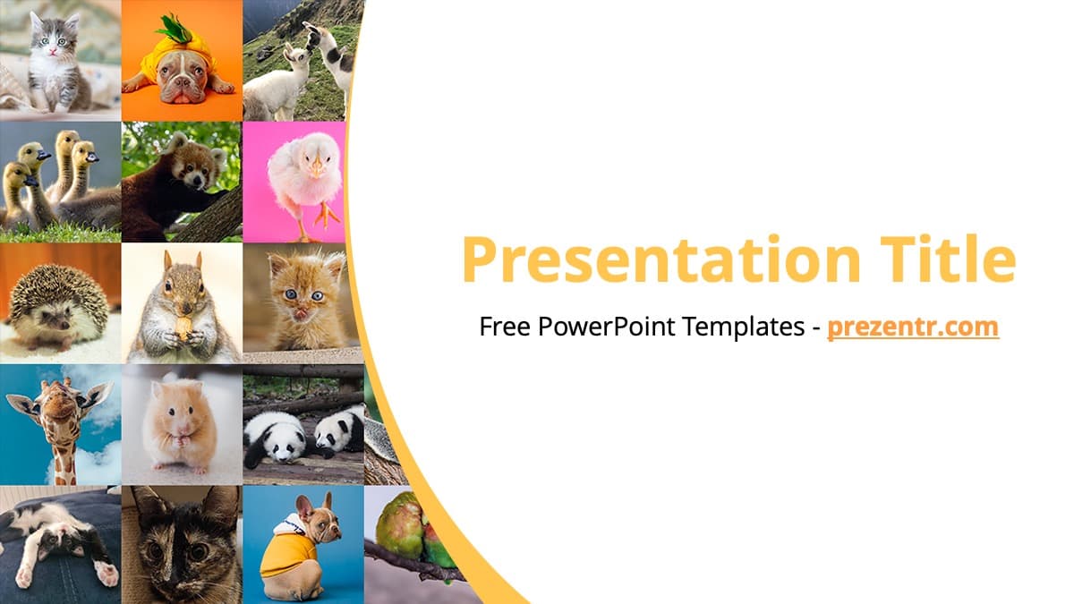 Cute PowerPoint Template cover slide with animal collage grid and orange curved design element