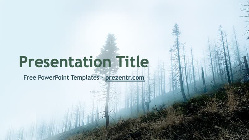 Deforestation PowerPoint Template cover slide with misty forest of bare, dead trees on hillside in muted blue and gray tones