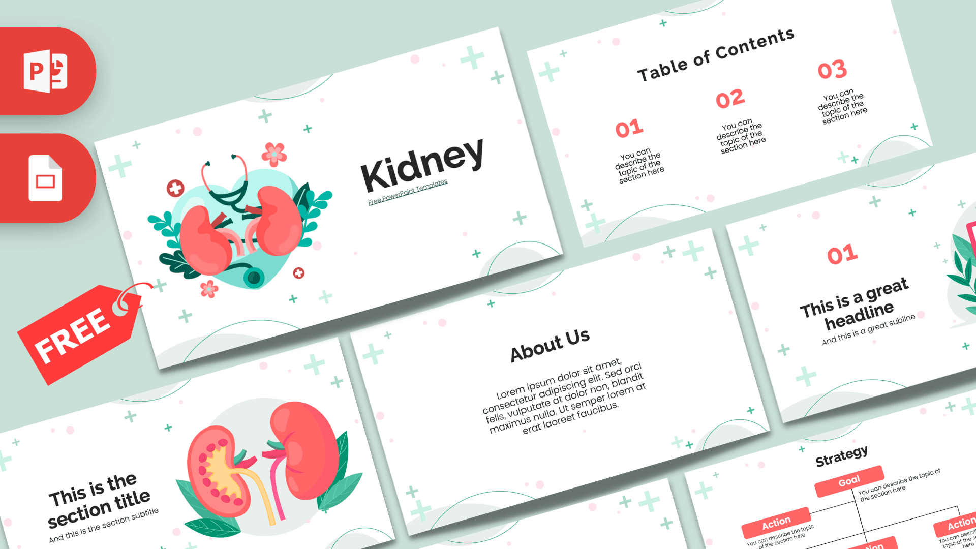 Kidney PowerPoint Template cover slide with illustrated red kidneys, medical icons, and teal accents on mint green background