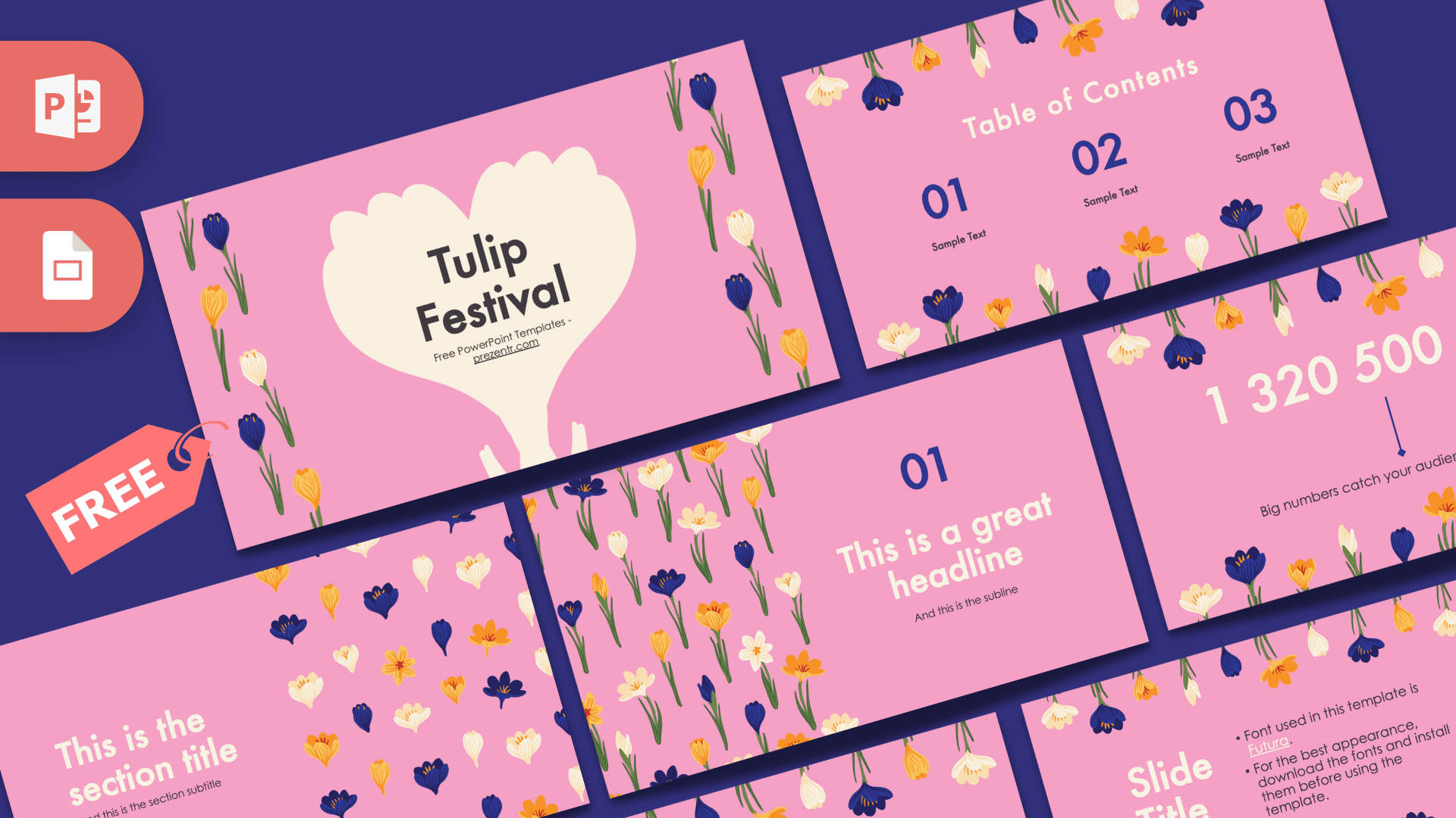 Pink Tulip Festival PowerPoint template cover slide with cream heart shape, colorful tulips, and dark blue background
