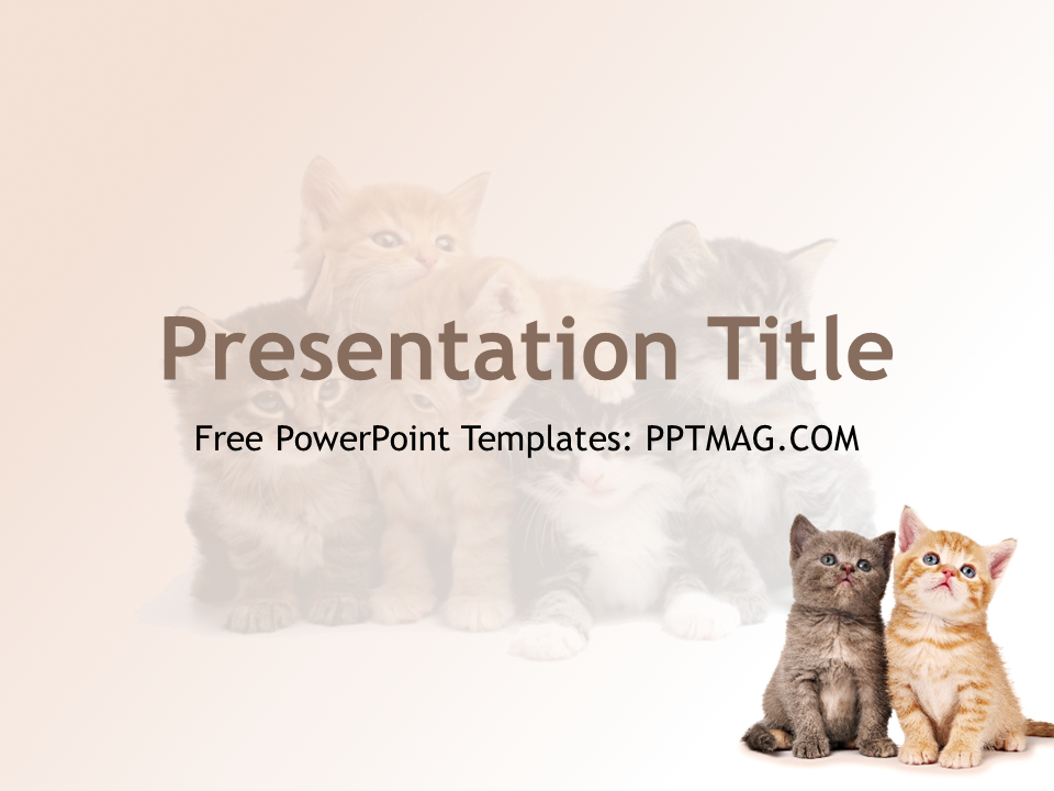 free-cats-powerpoint-template-pptmag